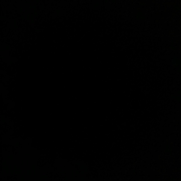 V - Picture 1 of 1